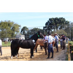 Celebrando Cultura, Lazer e Consciência Ambiental a 3ª Edição da Festa da Primavera agradou